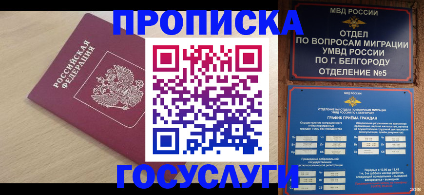 прописка законно в Рыбном